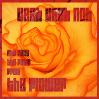 Yeah Yeah Noh - She Pulls the Petal from the Flower