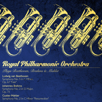 Royal Philharmonic Orchestra - Royal Philharmonic Orchestra Plays Beethoven, Brahms & Mahler