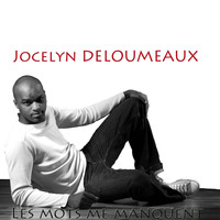 Jocelyn Deloumeaux - Les mots me manquent