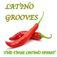 Lounge Lizards - Latino Grooves