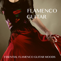 Lounge Lizards - Flamenco Guitar