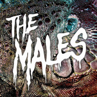 The Males - Her Golden Blood