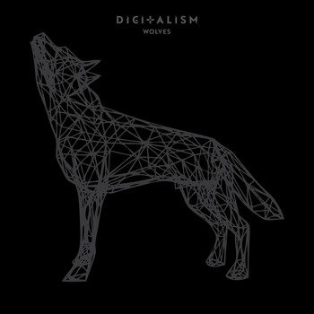Digitalism - Wolves (Instrumental)
