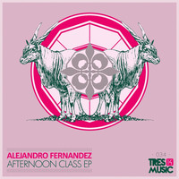Alejandro Fernandez - Afternoon Class