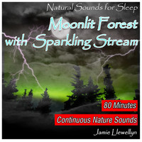 Jamie Llewellyn - Natural Sounds for Sleep: Moonlit Forest with Sparkling Stream