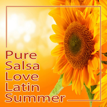 Various Artist - Pure Salsa Love Latin Summer