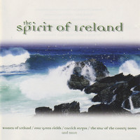 The Gardyne Chamber Ensemble - The Spirit Of Ireland
