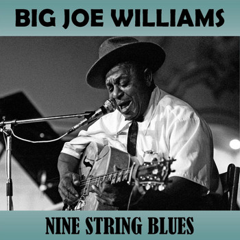 Big Joe Williams - Nine String Blues
