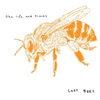 The Life And Times - Lost Bees