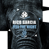 Rico Garcia - Feel the Night