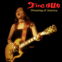 Firebug - Dreaming of America
