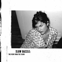 Slow Dazzle - The View From the Floor