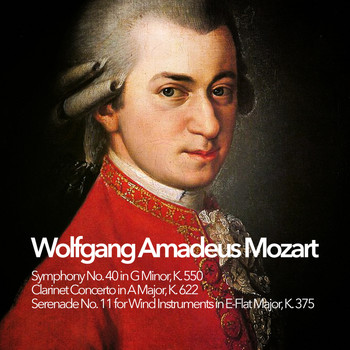 Wolfgang Amadeus Mozart - Wolfgang Amadeus Mozart: Symphonies, Serenades & Concertos