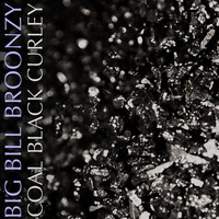Big Bill Broonzy - Coal Black Curley