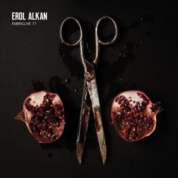 Erol Alkan - FABRICLIVE 77: Erol Alkan