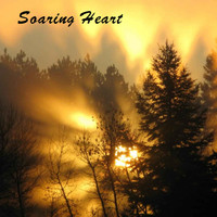 Kevin Doberstein - Soaring Heart. Soothing Nature Sounds Wood Flute Songs