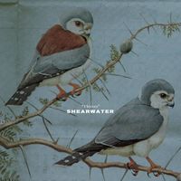 Shearwater - Thieves