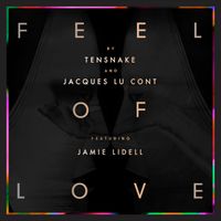 Tensnake, Jacques Lu Cont - Feel Of Love
