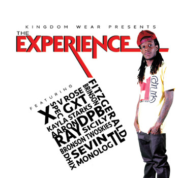 Various Artist - The Experience