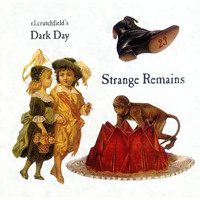 Dark Day - Strange Remains