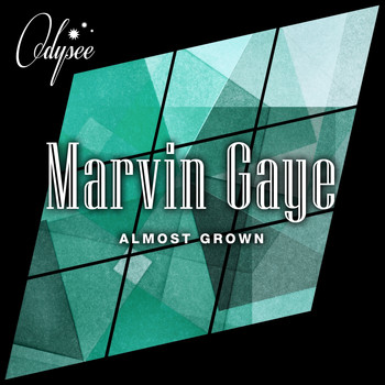 Marvin Gaye - Almost Grown