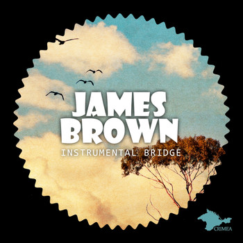 James Brown - Instrumental Bridge