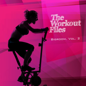 Various Artists - The Workout Files - Bigroom, Vol. 2