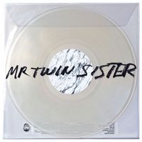 Mr Twin Sister - Mr Twin Sister (Explicit)
