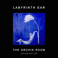 Labyrinth Ear - The Orchid Room (Deluxe Edition)