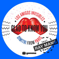 Los Amigos Invisibles - Glad to Know You - EP