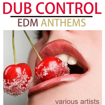 Various Artists - Dub Control EDM Anthems