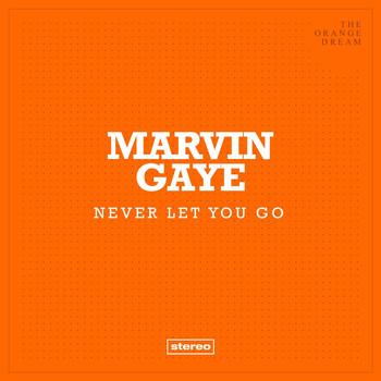 Marvin Gaye - Never Let You Go