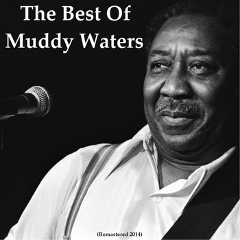Muddy Waters - The Best of Muddy Waters