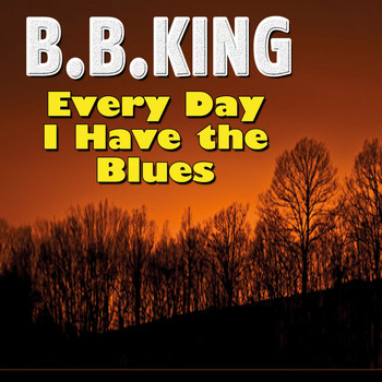 B.B. King - Every Day I Have the Blues