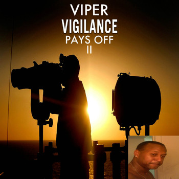 Viper - Vigilance Pays Off II