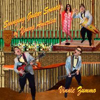 Vinnie Zummo - Swinging Guitar Sounds of Young America