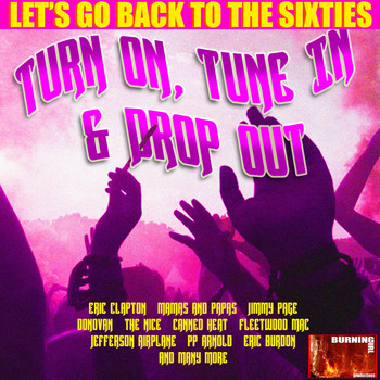 Various Artists - Turn on, Tune In & Drop Out