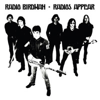 Radio Birdman - Radios Appear Deluxe (White Version)