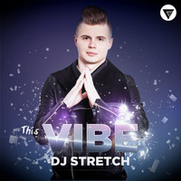 DJ Stretch - This Vibe