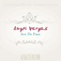 Angel Vargas - Ave De Paso