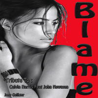 Joey Galliger - Blame: Tribute to Calvin Harris, John Newman