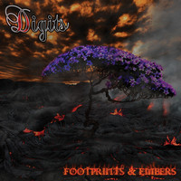 Digits - Footprints & Embers