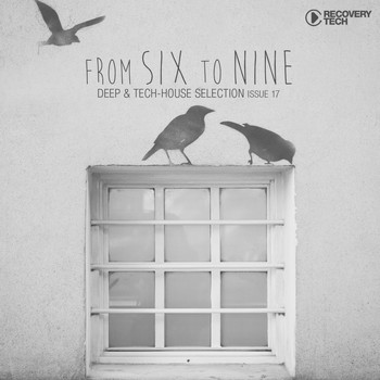 Various Artists - FromSixToNine Issue 17