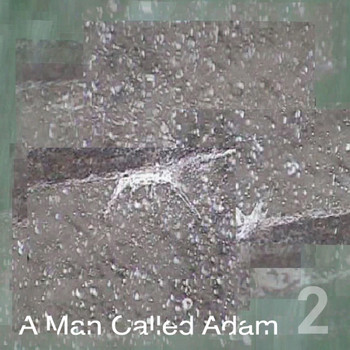 A Man Called Adam - Collected Works, Volume Two
