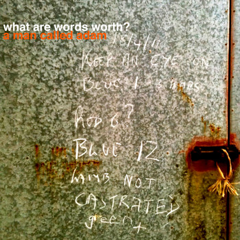 A Man Called Adam - What Are Words Worth?