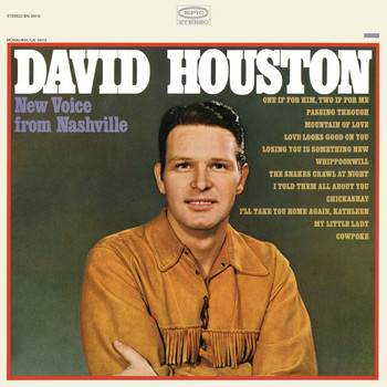 David Houston - New Voice from Nashville