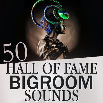 Various Artists - 50 Hall of Fame Bigroom Sounds