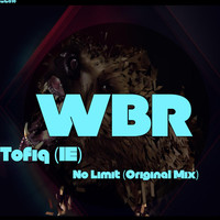 Tofiq (IE) - No Limit