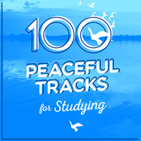 Manuel de Falla - 100 Peaceful Tracks for Studying