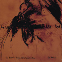 The Weeds - The Faraway Flying of Broken Beating